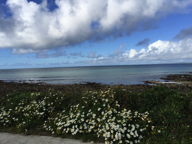 Kilmore Quay